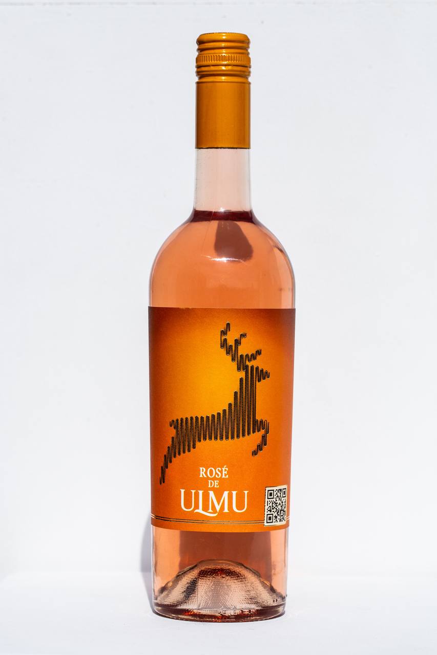 Rose de Ulmu